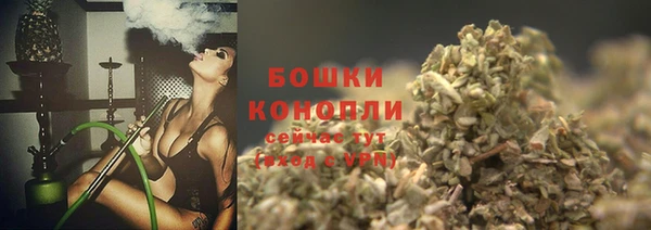 стаф Липки