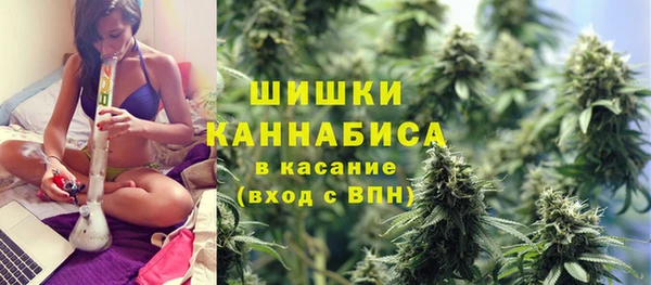 стаф Липки