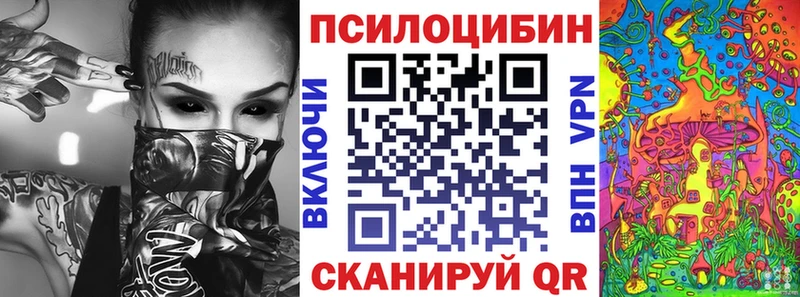 Псилоцибиновые грибы Psilocybe  ОМГ ОМГ   Елизаветинская 